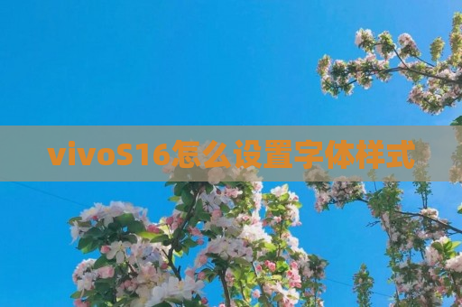 vivoS16怎么设置字体样式