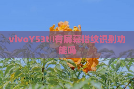 vivoY53t​有屏幕指纹识别功能吗