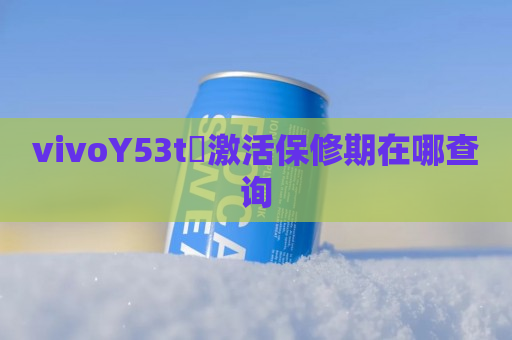 vivoY53t​激活保修期在哪查询