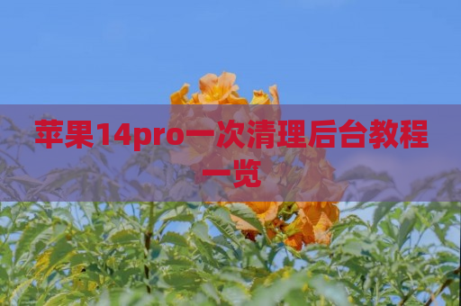 苹果14pro一次清理后台教程一览