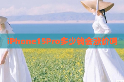 iPhone15Pro多少钱会涨价吗