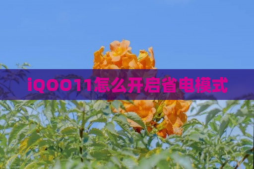 iQOO11怎么开启省电模式