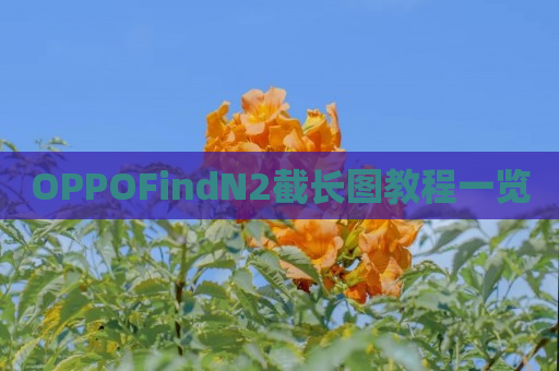 OPPOFindN2截长图教程一览