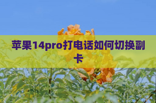 苹果14pro打电话如何切换副卡