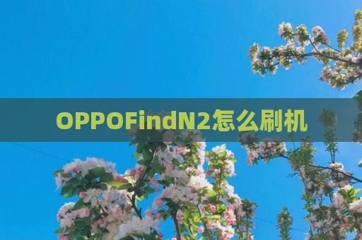 OPPOFindN2怎么刷机