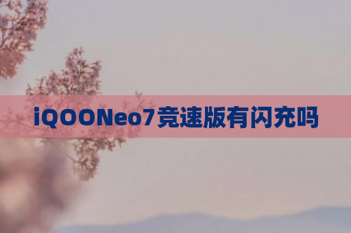 iQOONeo7竞速版有闪充吗