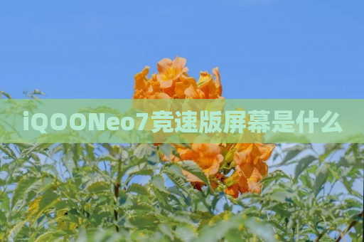 iQOONeo7竞速版屏幕是什么