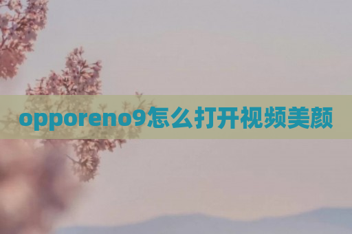 opporeno9怎么打开视频美颜