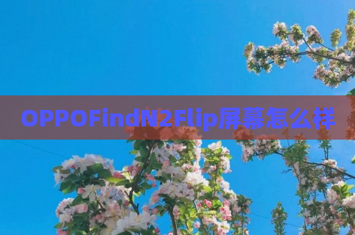 OPPOFindN2Flip屏幕怎么样