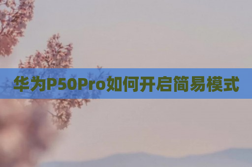 华为P50Pro如何开启简易模式