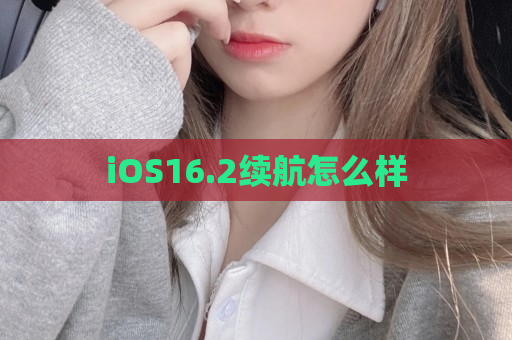 iOS16.2续航怎么样