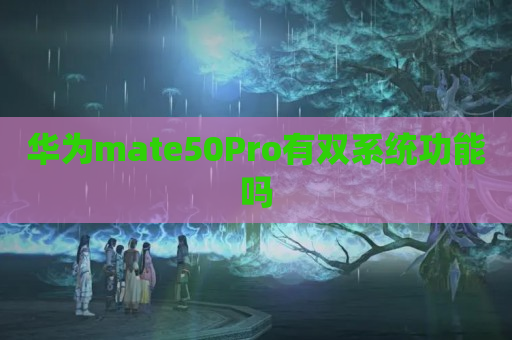 华为mate50Pro有双系统功能吗