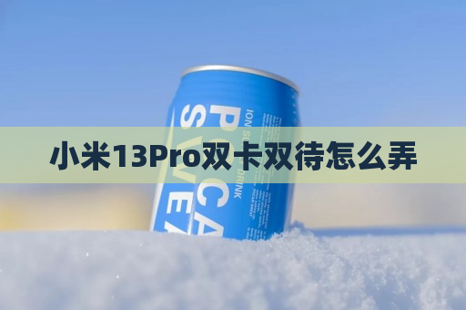 小米13Pro双卡双待怎么弄