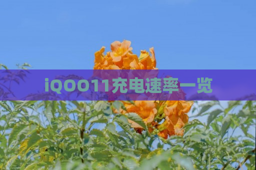 iQOO11充电速率一览