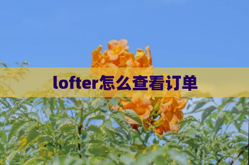 lofter怎么查看订单