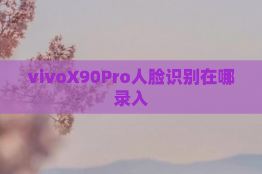 vivoX90Pro人脸识别在哪录入