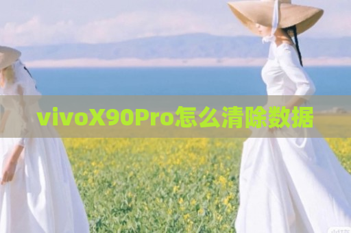 vivoX90Pro怎么清除数据