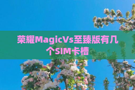 荣耀MagicVs至臻版有几个SIM卡槽