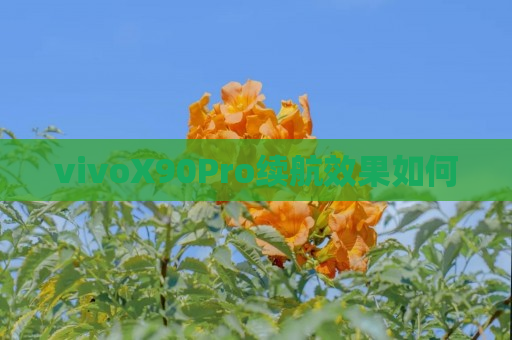 vivoX90Pro续航效果如何