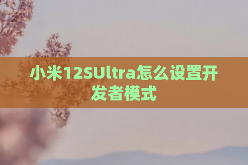 小米12SUltra怎么设置开发者模式