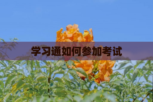 学习通如何参加考试