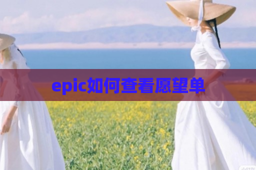 epic如何查看愿望单