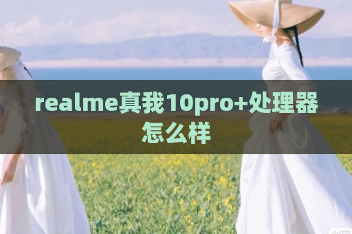 realme真我10pro+处理器怎么样