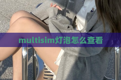 multisim灯泡怎么查看