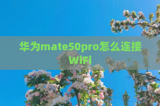 华为mate50pro怎么连接WiFi