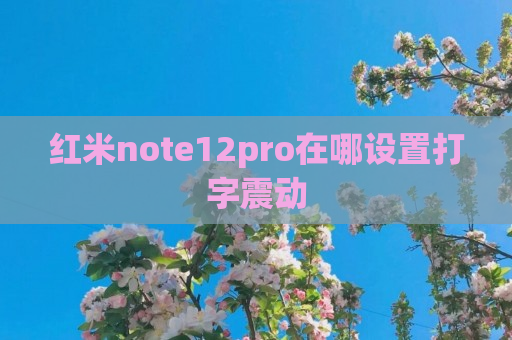 红米note12pro在哪设置打字震动