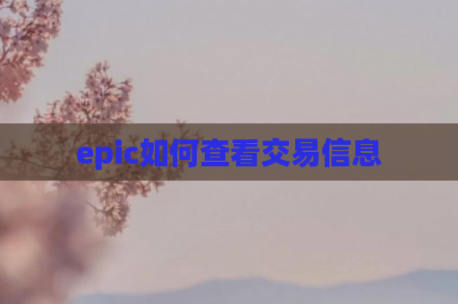 epic如何查看交易信息