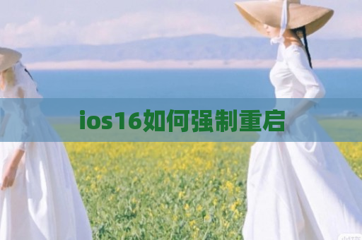 ios16如何强制重启