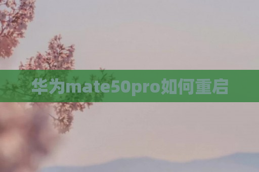 华为mate50pro如何重启