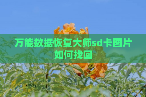 万能数据恢复大师sd卡图片如何找回