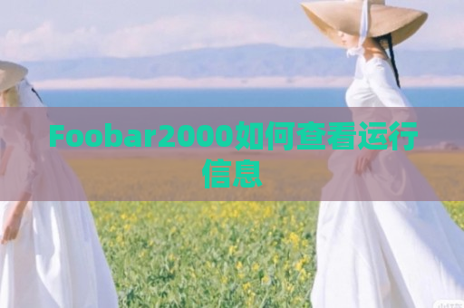 Foobar2000如何查看运行信息