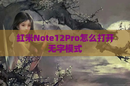 红米Note12Pro怎么打开无字模式