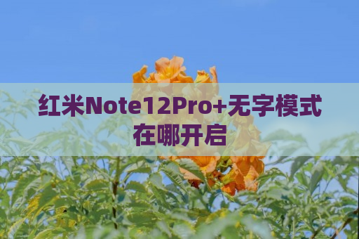 红米Note12Pro+无字模式在哪开启