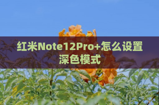 红米Note12Pro+怎么设置深色模式