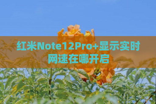 红米Note12Pro+显示实时网速在哪开启