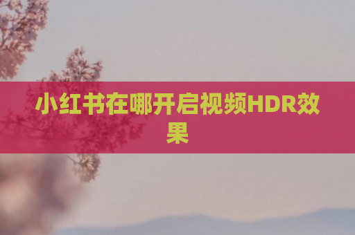 小红书在哪开启视频HDR效果