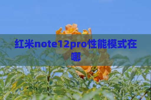 红米note12pro性能模式在哪