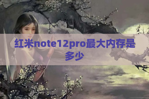 红米note12pro最大内存是多少