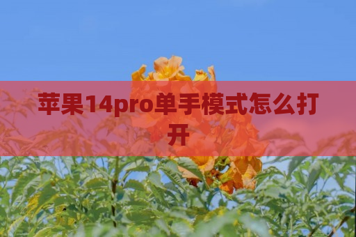 苹果14pro单手模式怎么打开