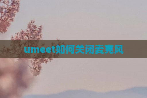 umeet如何关闭麦克风