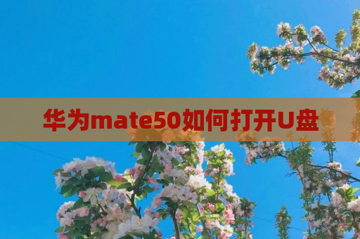 华为mate50如何打开U盘