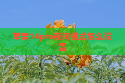 苹果14pro夜间模式怎么设置