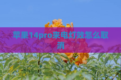 苹果14pro来电灯效怎么取消