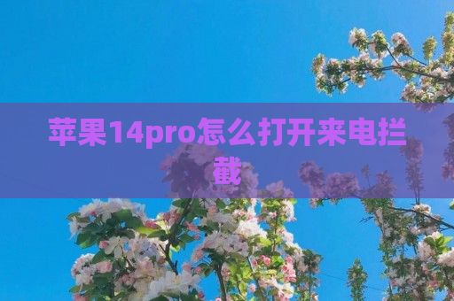 苹果14pro怎么打开来电拦截