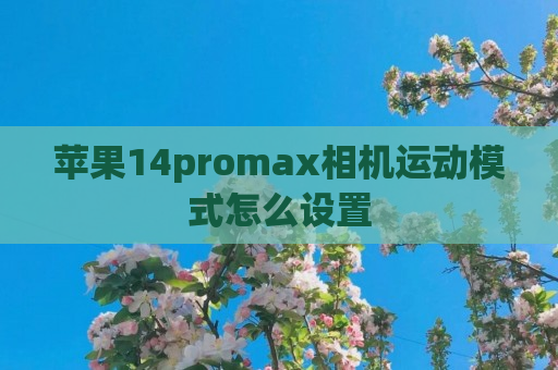 苹果14promax相机运动模式怎么设置