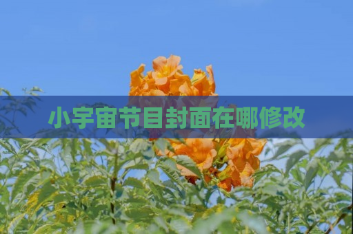 小宇宙节目封面在哪修改